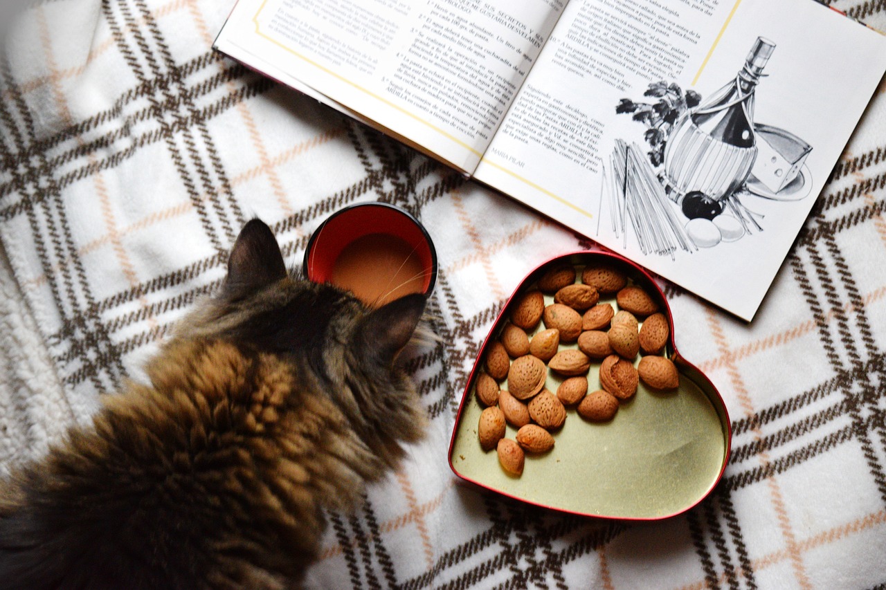 Home-Cooked Happiness: DIY Pet Food Recipes