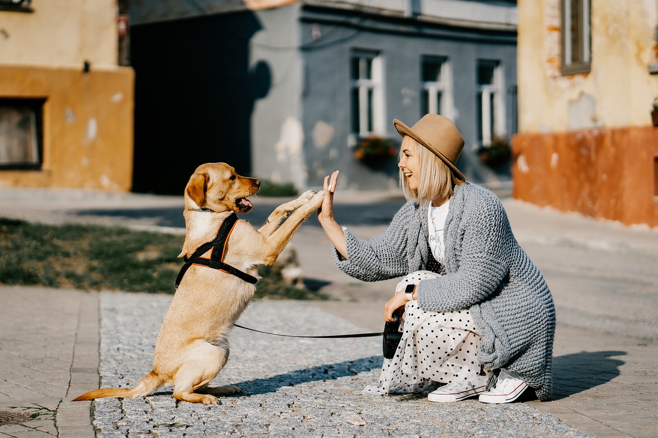 Biting, Barking, and Beyond: Decoding Pet Behavior